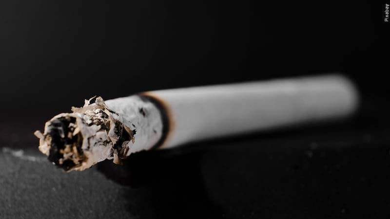 are cigarettes expensive in germany Global Cigarette Price Comparison (Pack of 20) in INR, - India: ₹150 - ₹200 , - United States: ₹650 - ₹800 , - United Kingdom: ₹1,000 - ₹1,200 , - Australia: ₹1,100 - ₹1,650 , - Canada: ₹700 are cigarettes expensive in germany Global Cigarette Price Comparison (Pack of 20) in INR, - India: ₹150 - ₹200 , - United States: ₹650 - ₹800 , - United Kingdom: ₹1,000 - ₹1,200 , - Australia: ₹1,100 - ₹1,650 , - Canada: ₹700