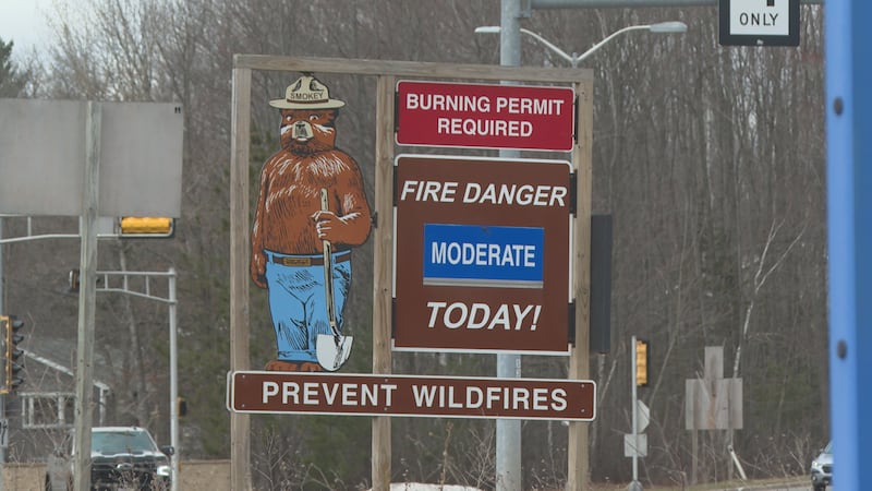 The DNR says one of the main reasons fires are starting is because of all the branches and...