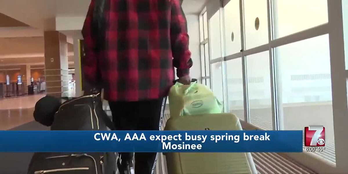 Airport Reeds Spring Travel season ramps up at area airports ahead of spring break