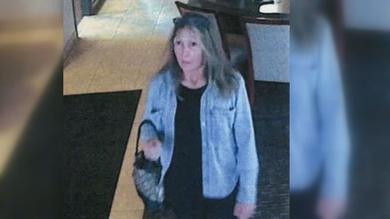 Credit Union fraud suspect