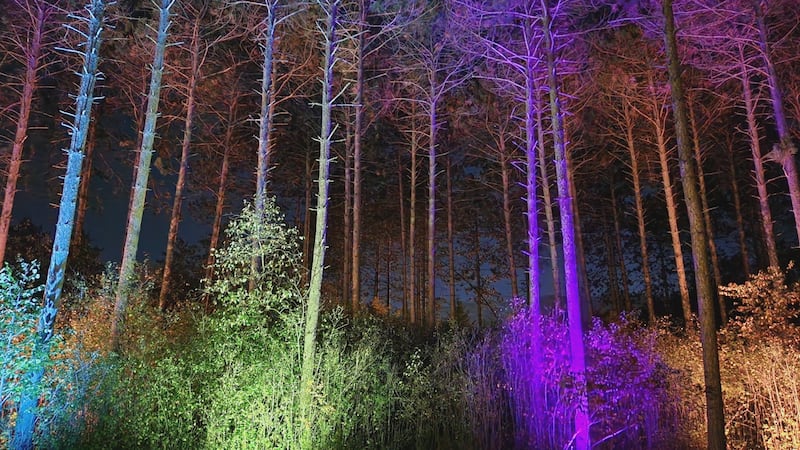 Monk Botanical Gardens hosts 'Blossom of Lights.'