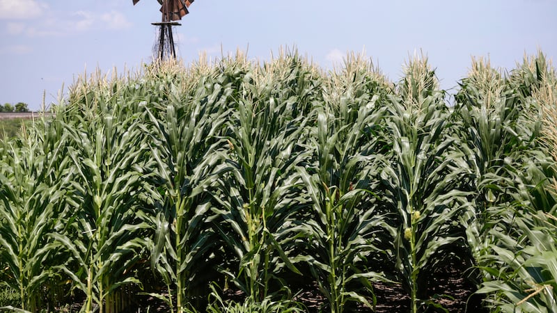 Wisconsin Usda Rural Development USDA invests $6 million to expand market opportunities in rural Wisconsin