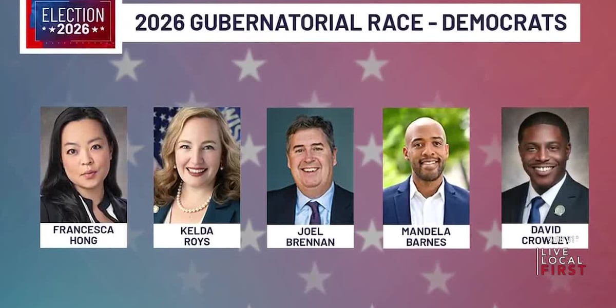 Wisconsin Democratic Governor Race: Hong Leads Polls as Candidates Debate Ahead of August Primary