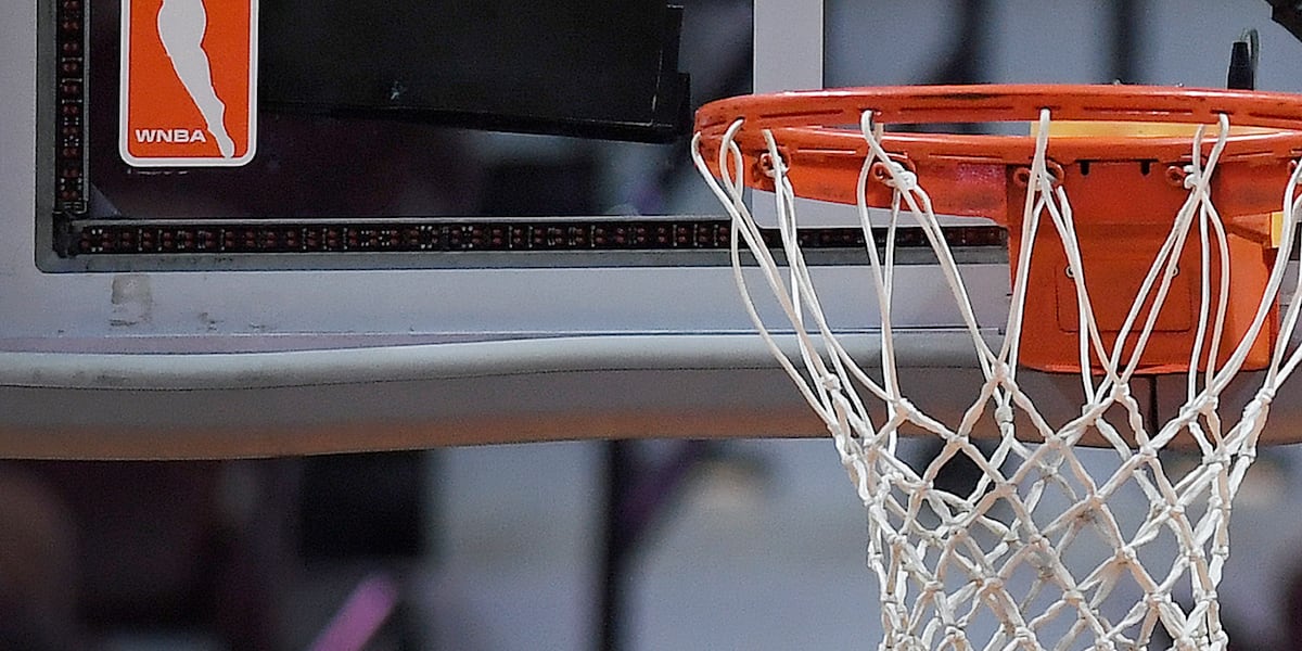 How does the WNBA deal withtoy throwers? What to know about How does the WNBA deal withtoy throwers? What to know about