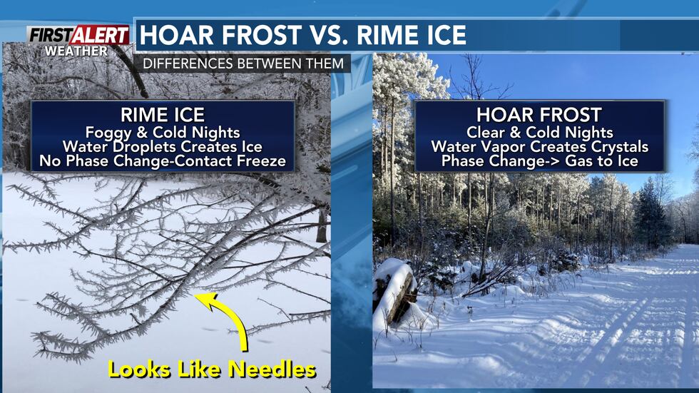 With several days of dense freezing fog, the weather has been ideal for ...