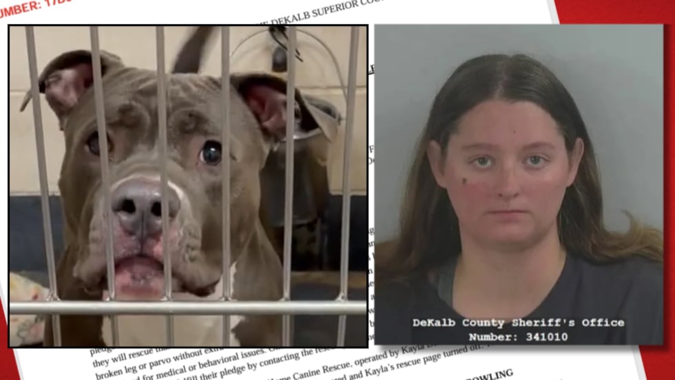 Kayla Dillenburg, 30, is facing charges that include animal torture.