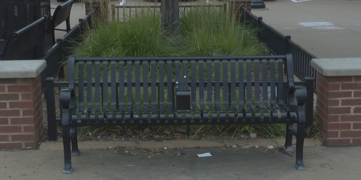 Opponents to the new bench bars in Stevens Point rally in protest