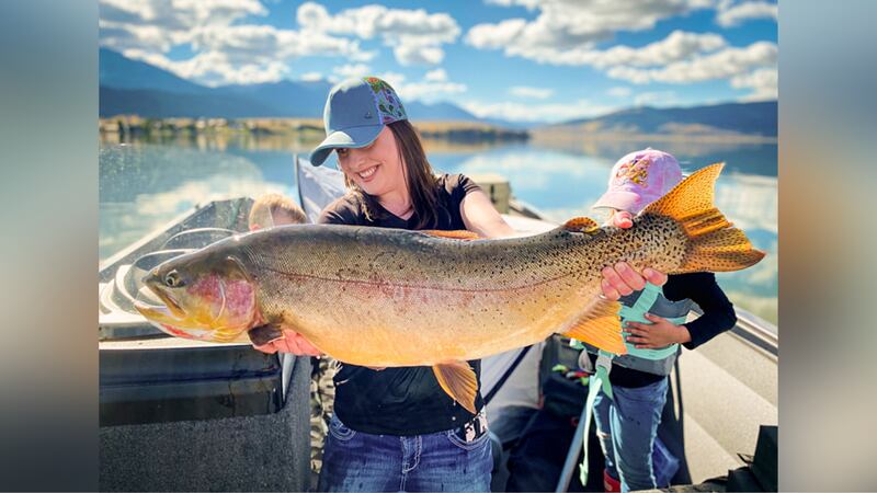 Angler sets state record with 'monster' hybrid trout Angler sets state record with 'monster' hybrid trout