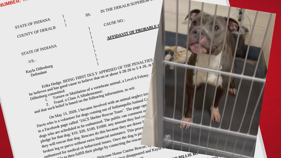 Kayla Dillenburg, 30, is facing charges that include animal torture.