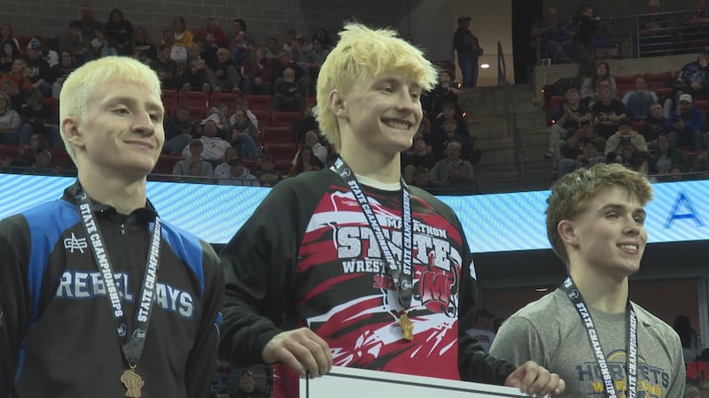 Nine area wrestlers entered Saturday’s individual state wrestling tournament with a chance at...