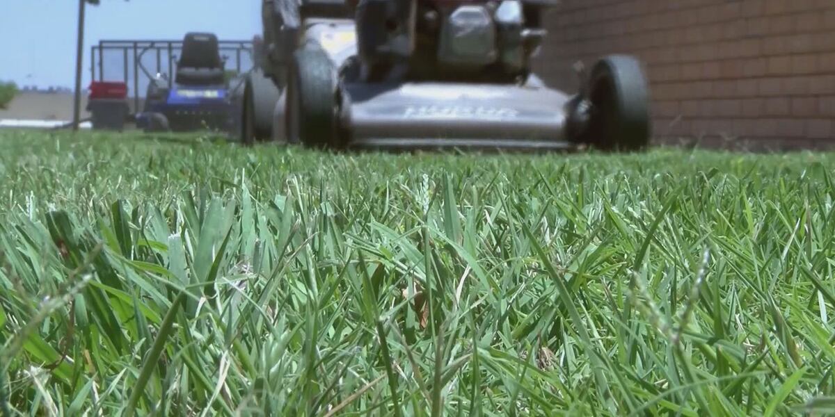 How to avoid common injuries related to spring cleaning and yard work ...