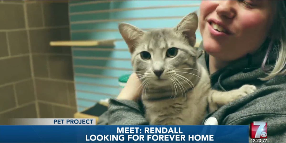 Eleanor R Rendall Pet Project: Meet Rendall