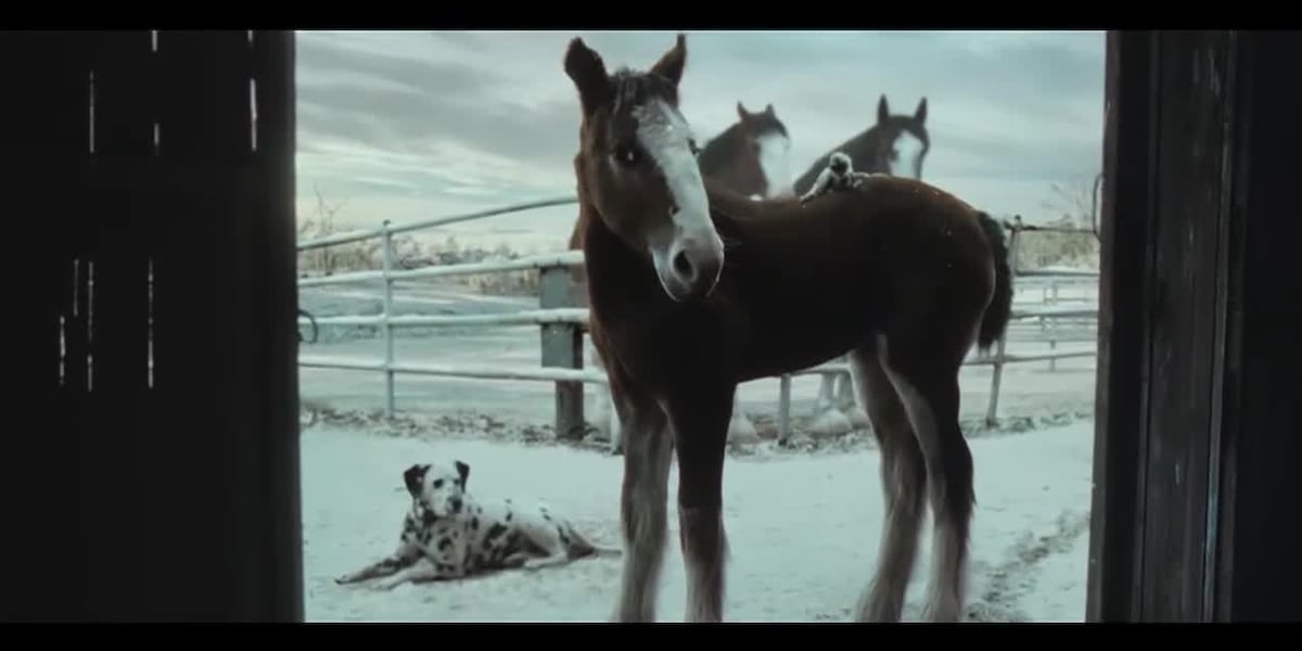 Budweiser Super Bowl ad: 'American Icons'
