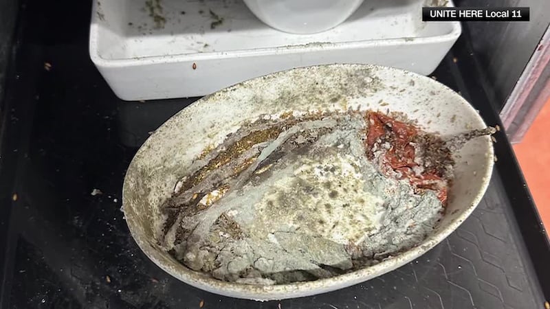 Workers at an airline catering facility near LAX are alleging unsanitary conditions, including...
