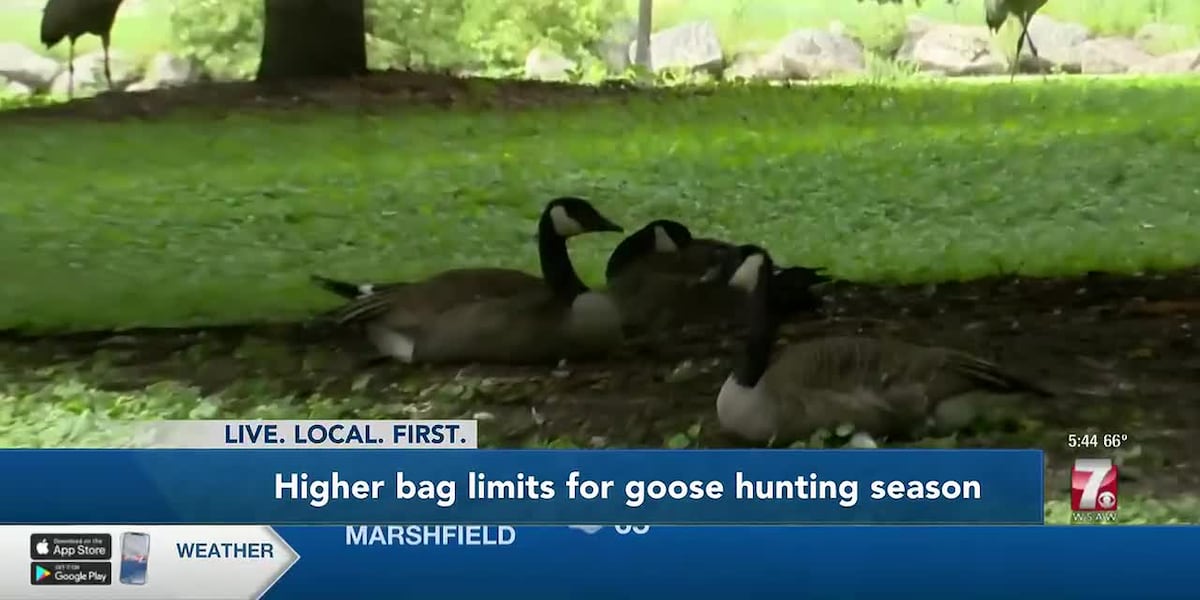 Early goose hunting season kicks off today