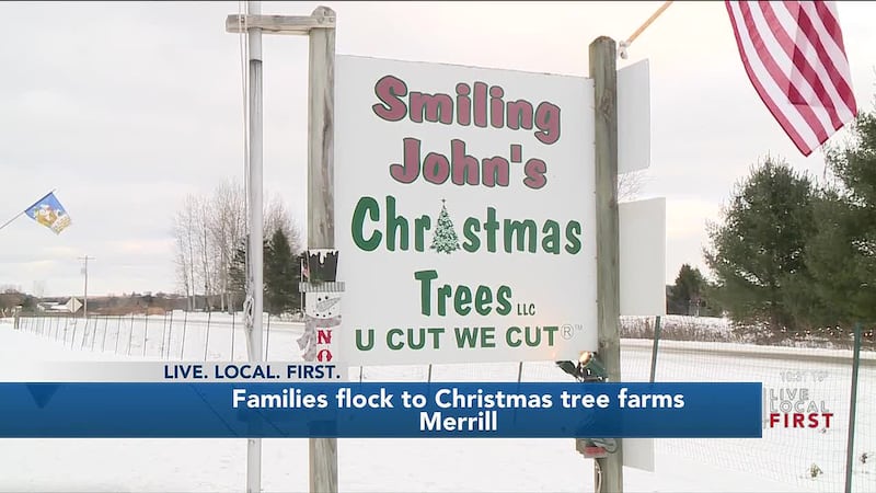 Families flock to Christmas tree farms